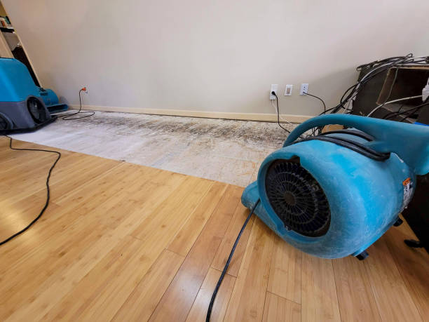 Professional Water Damage Repair technician working in Calabasas, CA